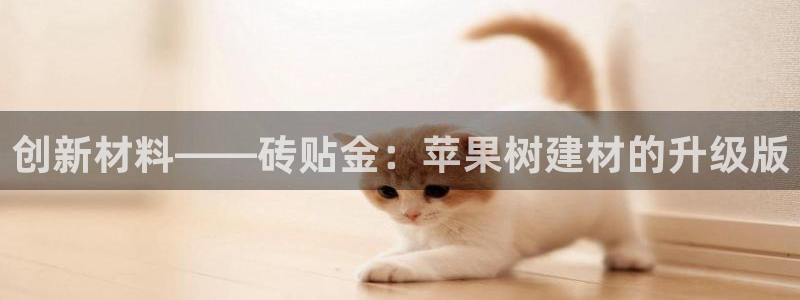 杏鑫平台注册地址在哪里