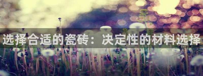 杏鑫平台直属哪个公司