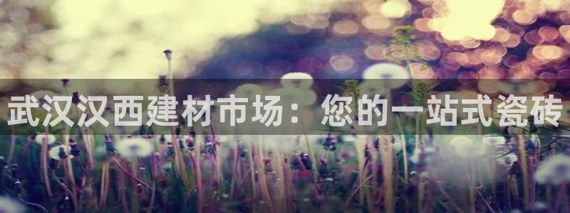 杏鑫娱乐官方网站客户端