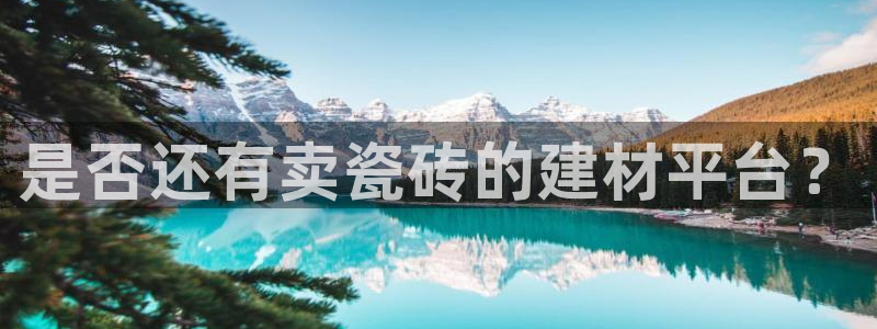 杏鑫平台注册入口在哪