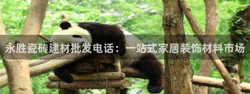 杏鑫平台招商电话号码