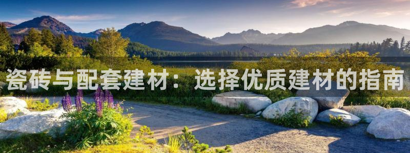 杏鑫平台代理怎么样赚钱