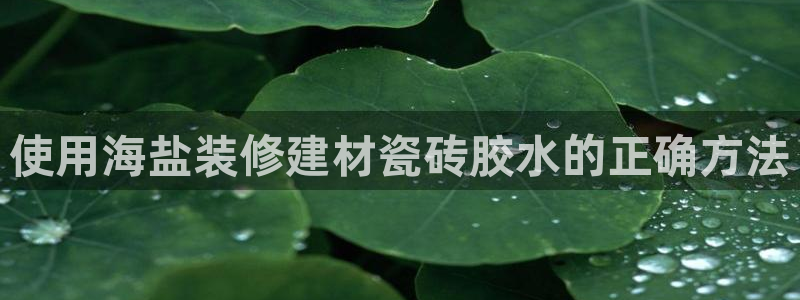 杏鑫官网注册账号是什么意思