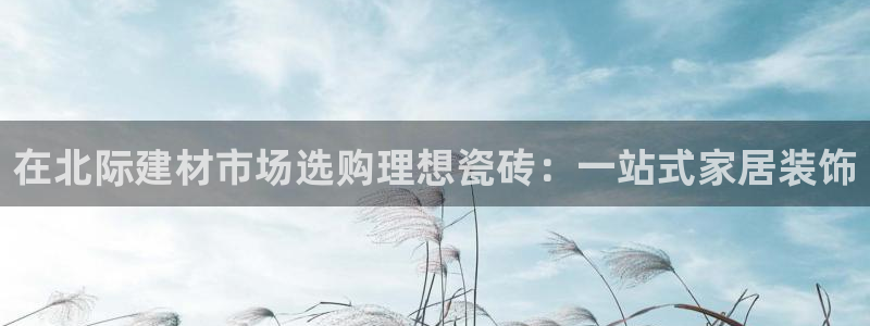 杏鑫娱乐官方网站客户端