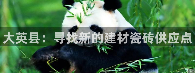 杏鑫官方平台怎么样啊知乎