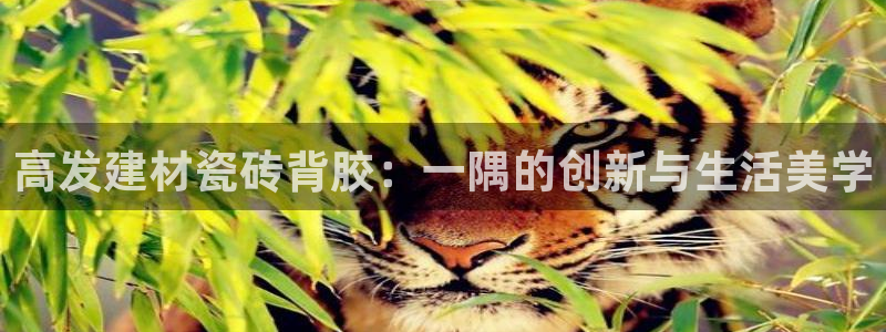 杏鑫平台野马联盟