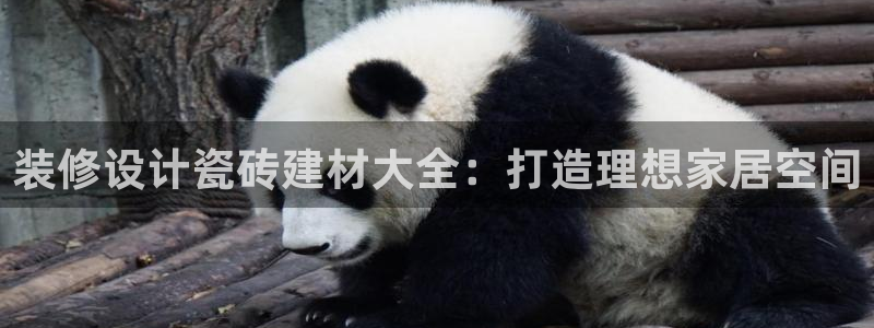 杏鑫手机客户端怎么下载