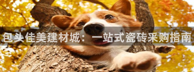 杏鑫平台正规吗是真的吗