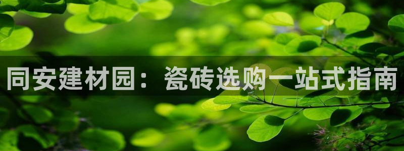 杏鑫平台代理怎么做