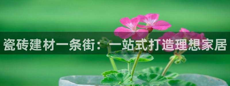 杏鑫手机客户端