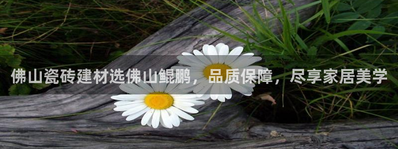 杏鑫娱乐官方网站客户端下载
