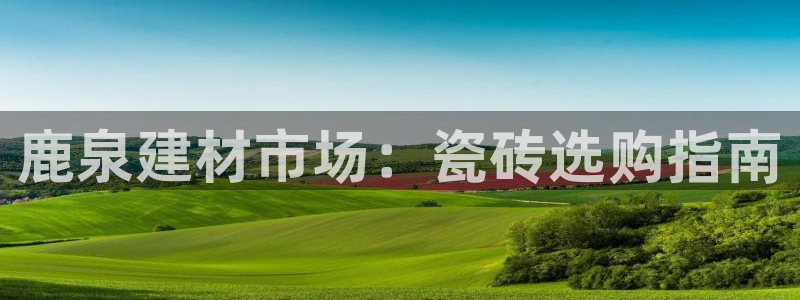 杏鑫主管
